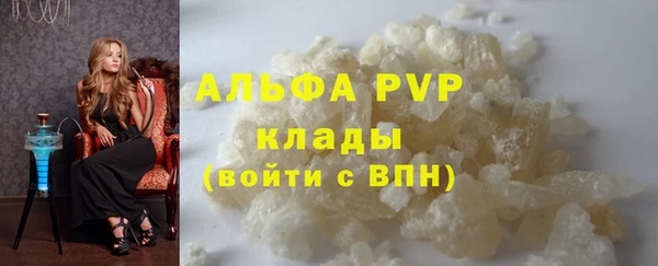 гашик Верея