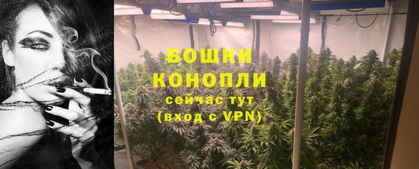 стаф Володарск