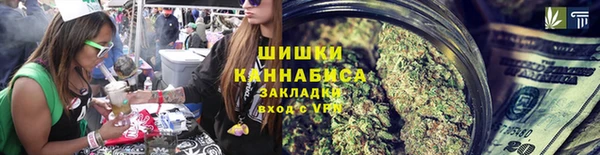 гашик Верея