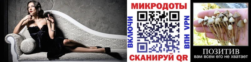 Галлюциногенные грибы Psilocybe  Ишимбай 
